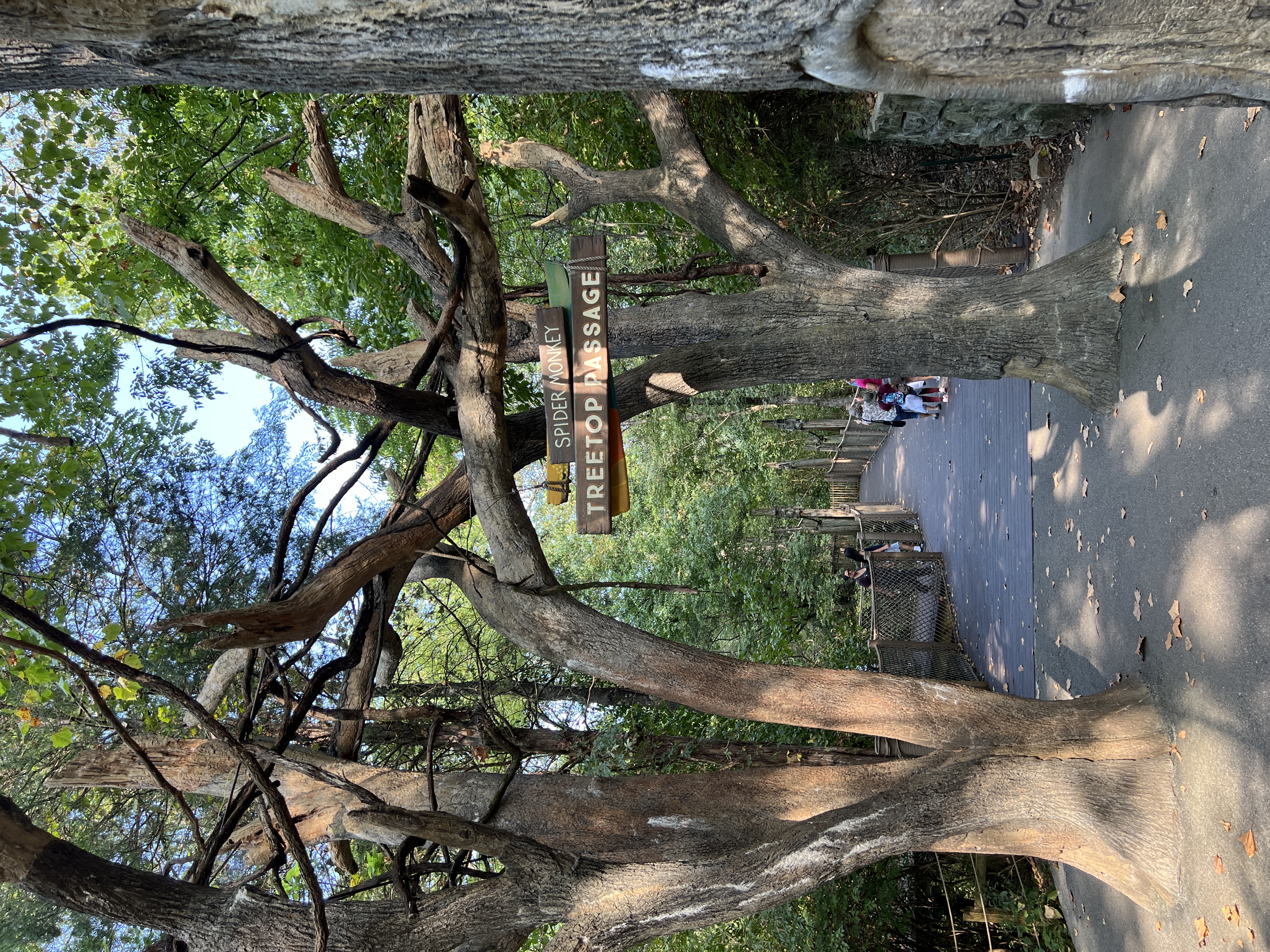 ./2025/11 - Nashville Trip/IMG_7207.JPG